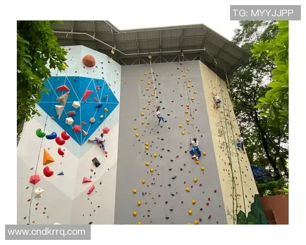 广州攀岩队技术表现数据分析与提升策略探讨